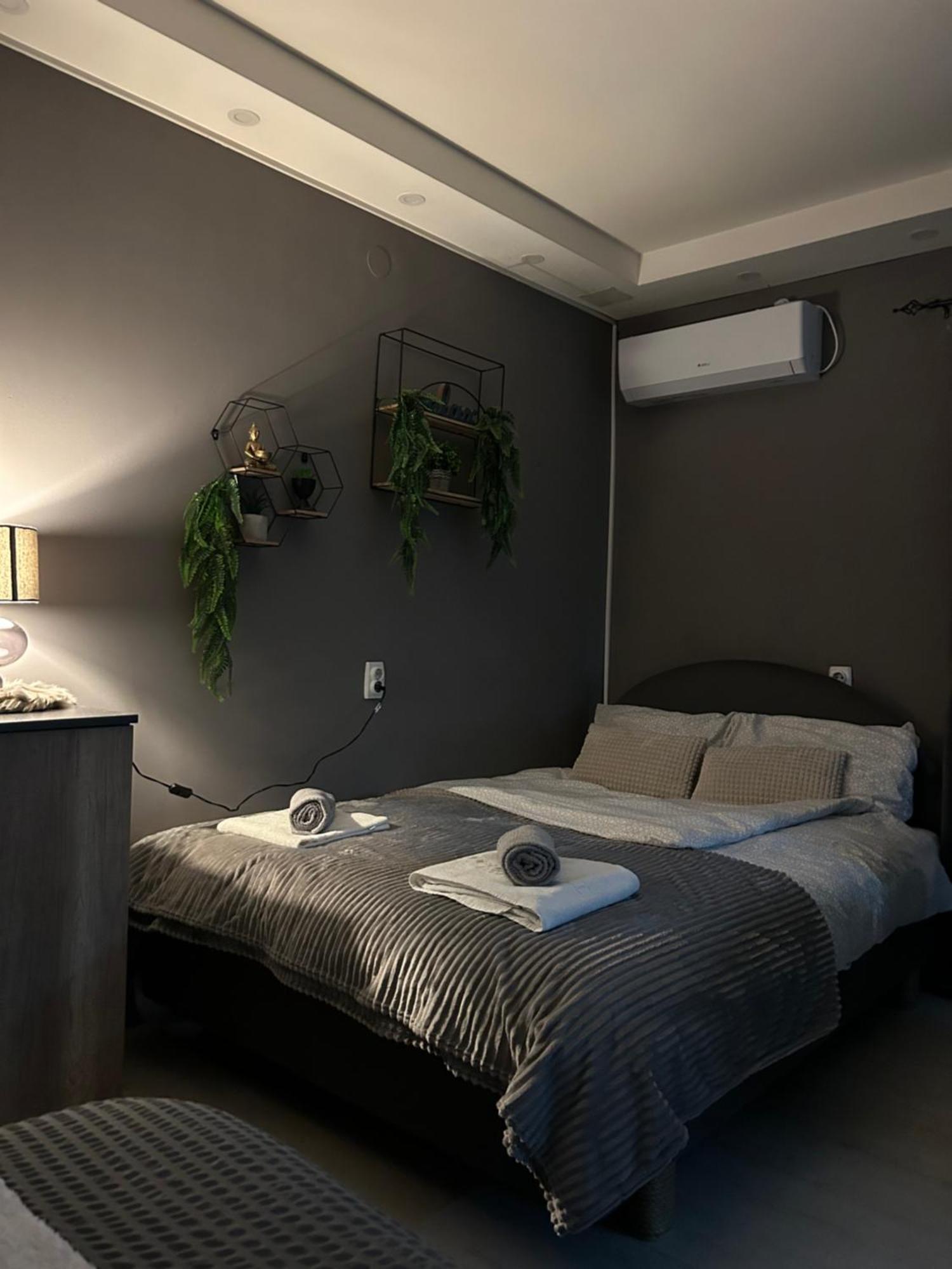 Beta House Apartments Zaječar Exteriér fotografie